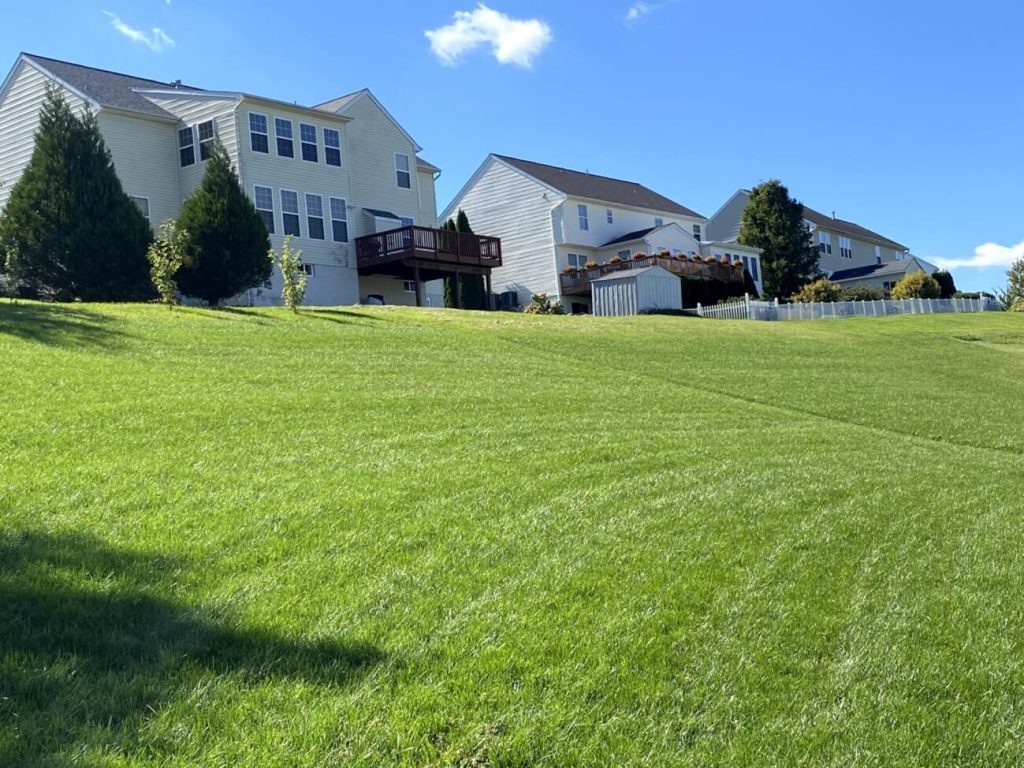 two houses overlooking shared lawn